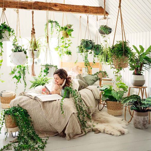 Möblera grönt med växter högt och lågt
