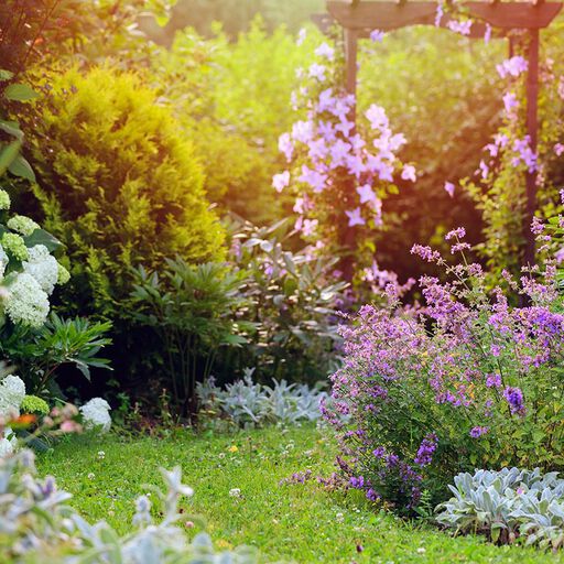 Romantisk trädgård - en oas av blomstrande skönhet och doft