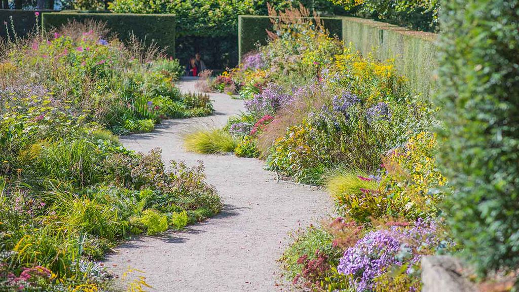 6 tips för en miljövänlig trädgård