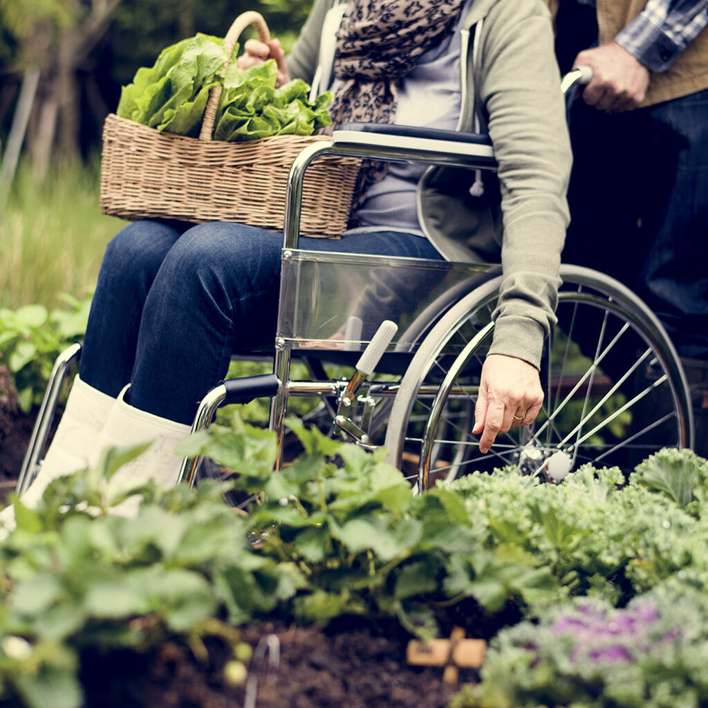 En trädgård för alla – att odla med nedsatt rörelseförmåga eller sjukdom