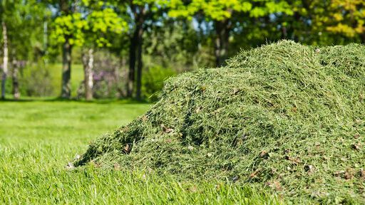 Använd gräsklipp för att förbättra din trädgård