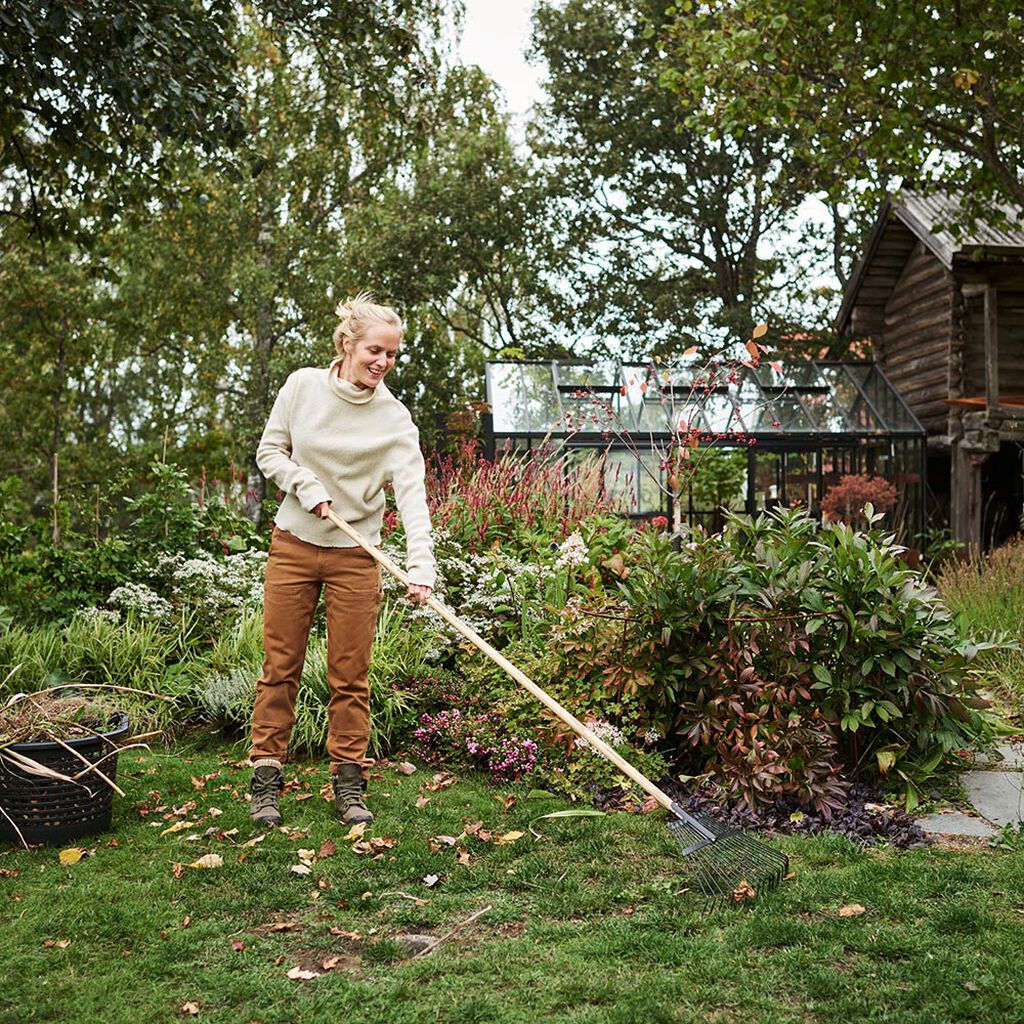 Trädgårdskalender höst – detta kan du göra i trädgården på hösten