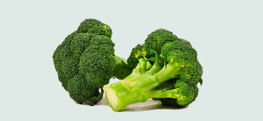 Broccoli – odla din egen