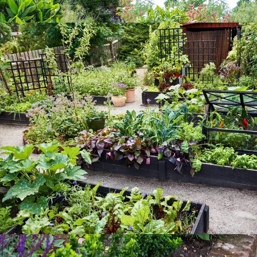 Jordnära trädgård - Odla med omtanke om dig själv och naturen