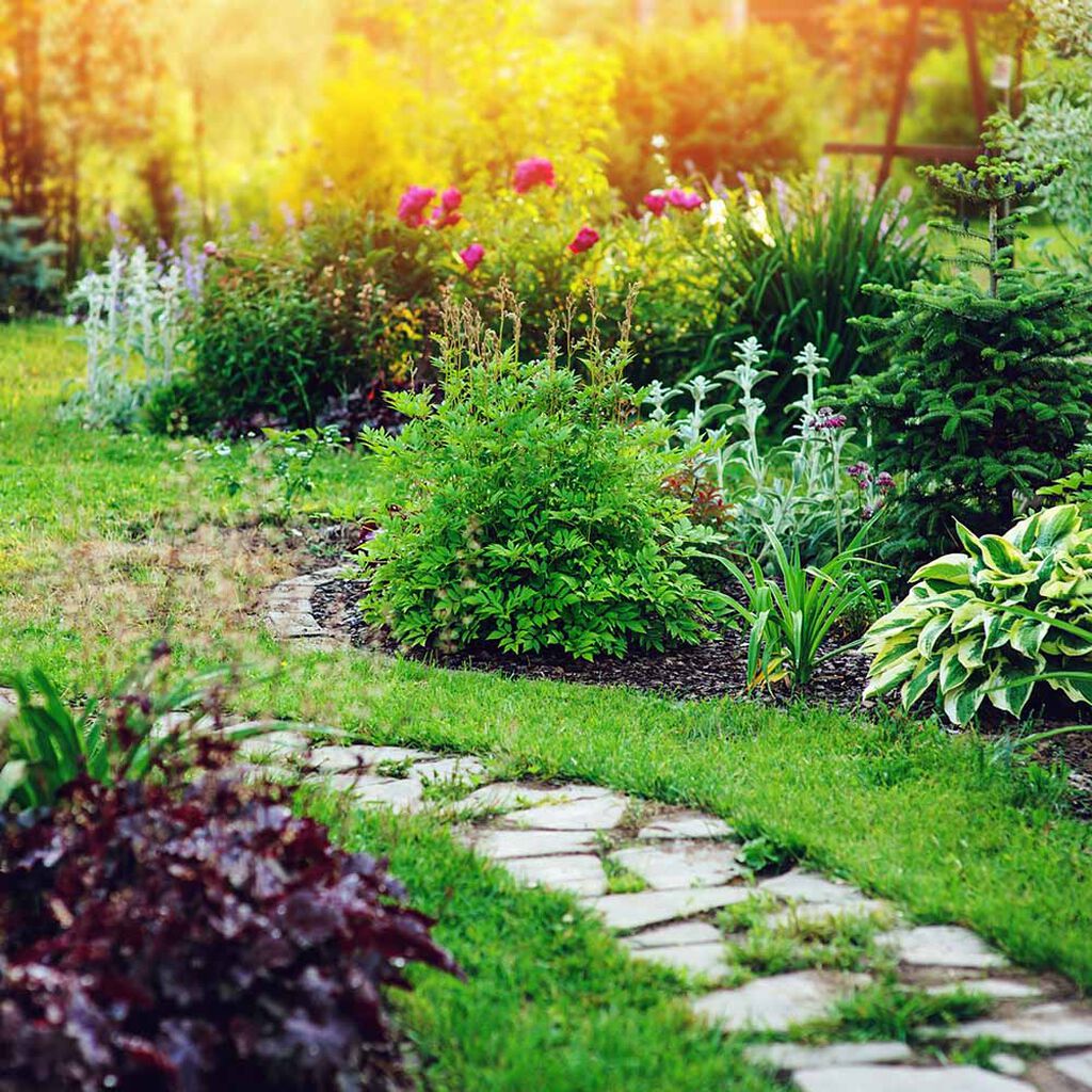 Trädgårdsplanering – vägen till drömträdgården