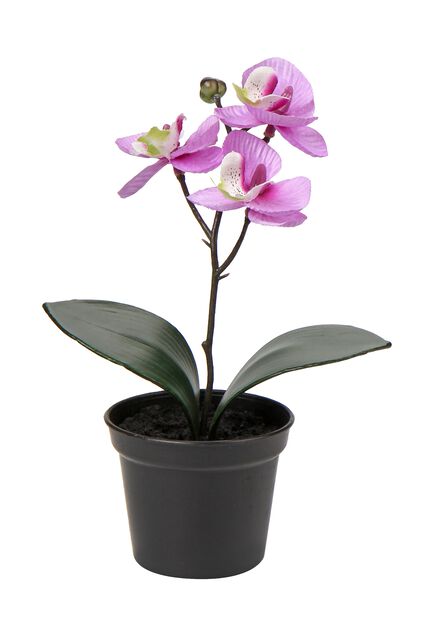 Orkidé konstgjord, Längd 20 cm, Rosa