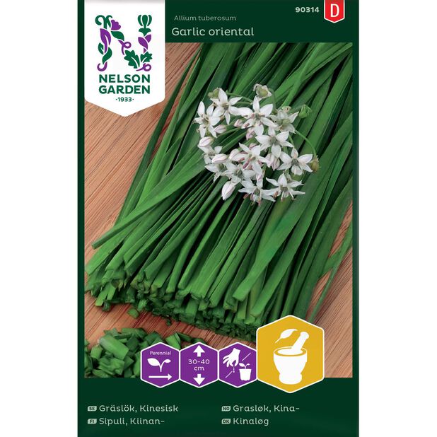 Kinesisk Gräslök 'Garlic oriental', Flerfärgad