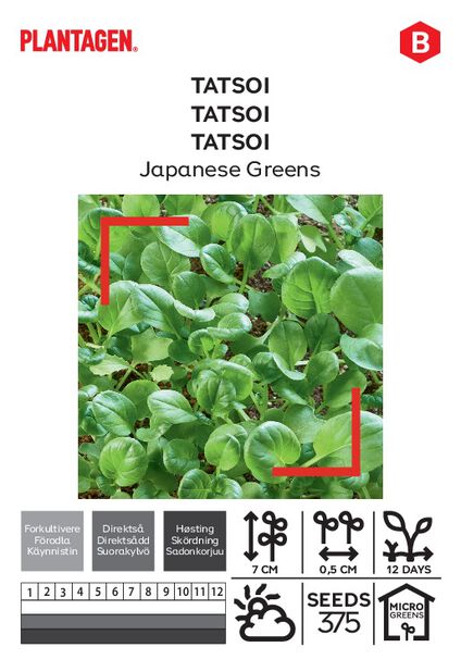 Tatsoi 'Japanese Greens'