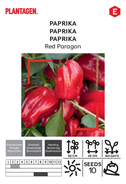 Paprika 'Red Paragon'