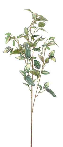 Zebrablad konstgjord kvist, Höjd 76 cm, Grön