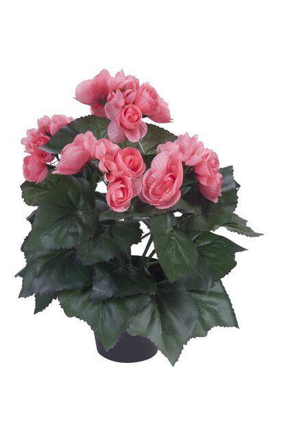 Begonia konstgjord, Höjd 32 cm, Rosa