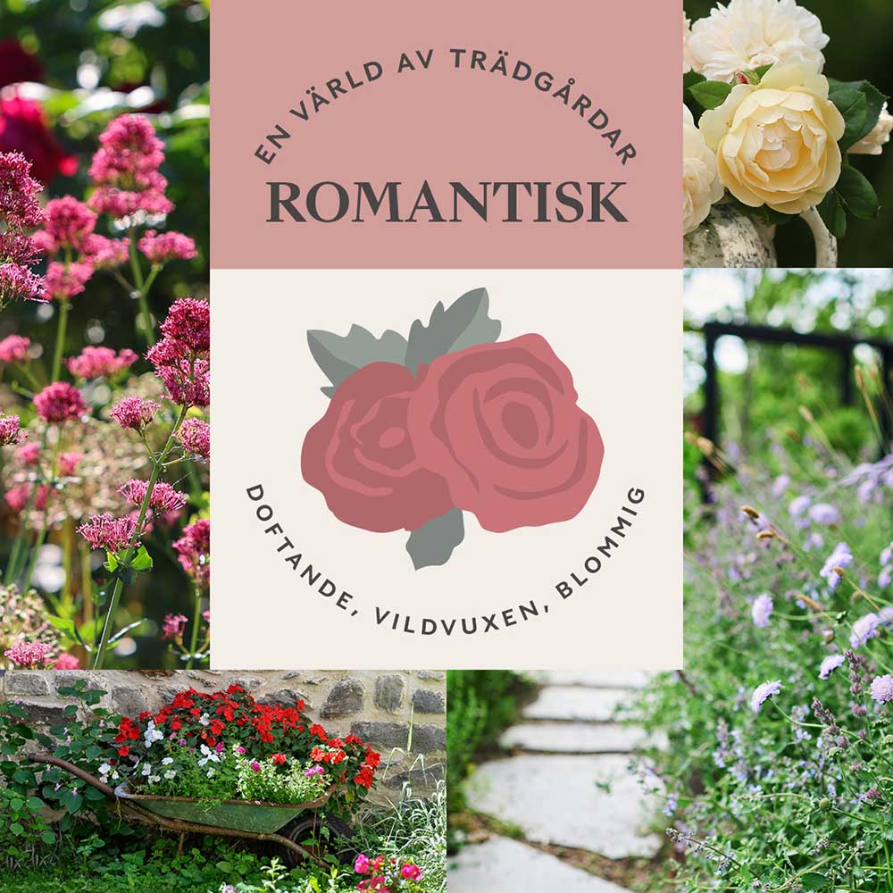 Romantisk trädgård